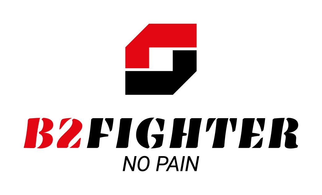 logo_b2_fighter_no_pain_rot_schwarz