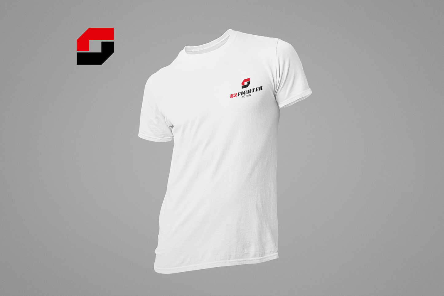TS-C1W-NEU_B2_FIGHTER_NO_PAIN