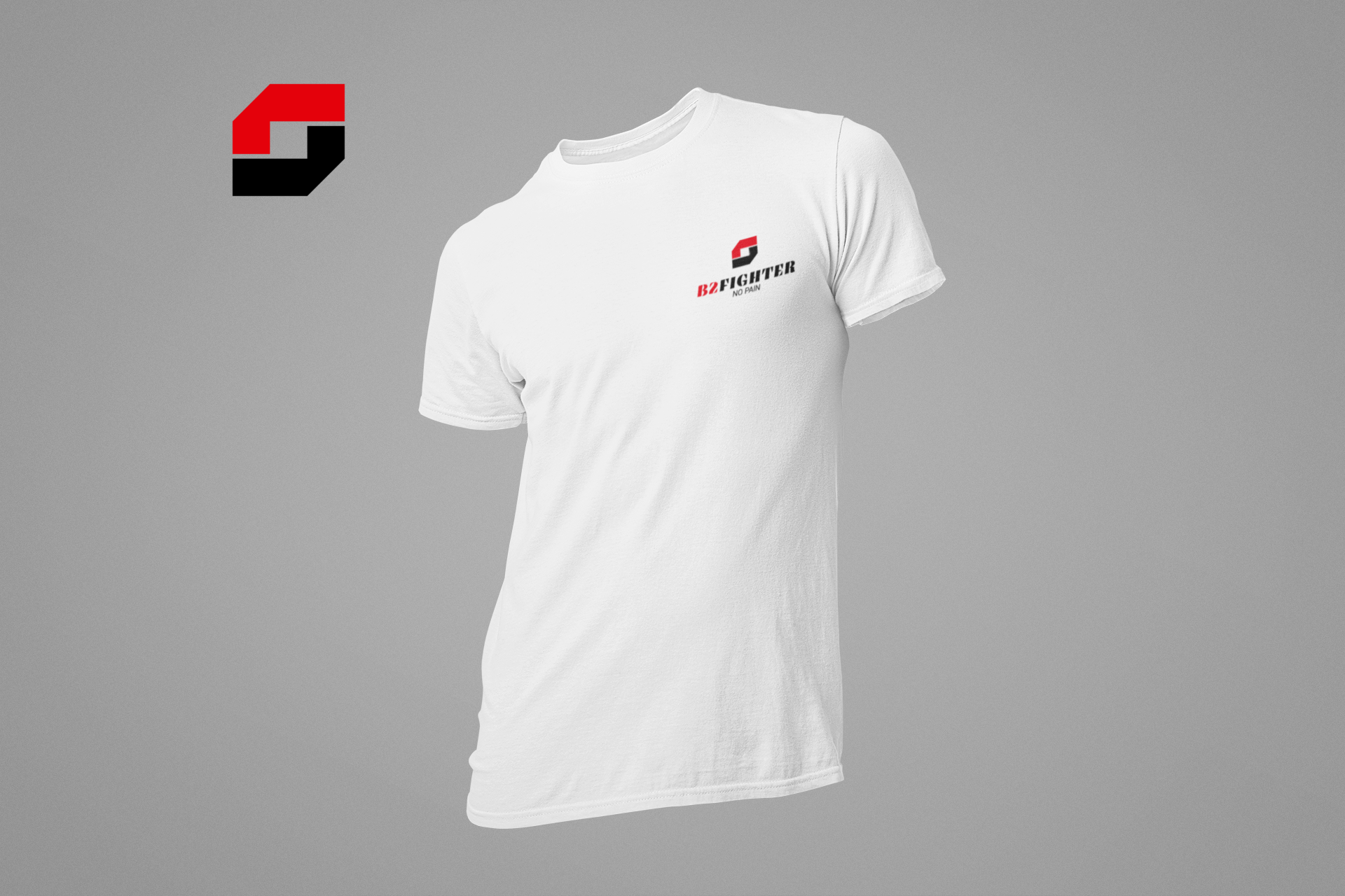 TS-C1W-NEU_B2_FIGHTER_NO_PAIN